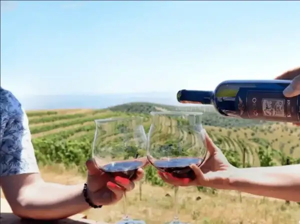 Winery tour
